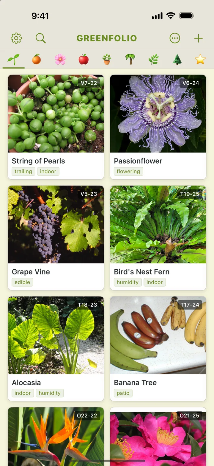 Greenfolio collection grid showing a wall of plant cards